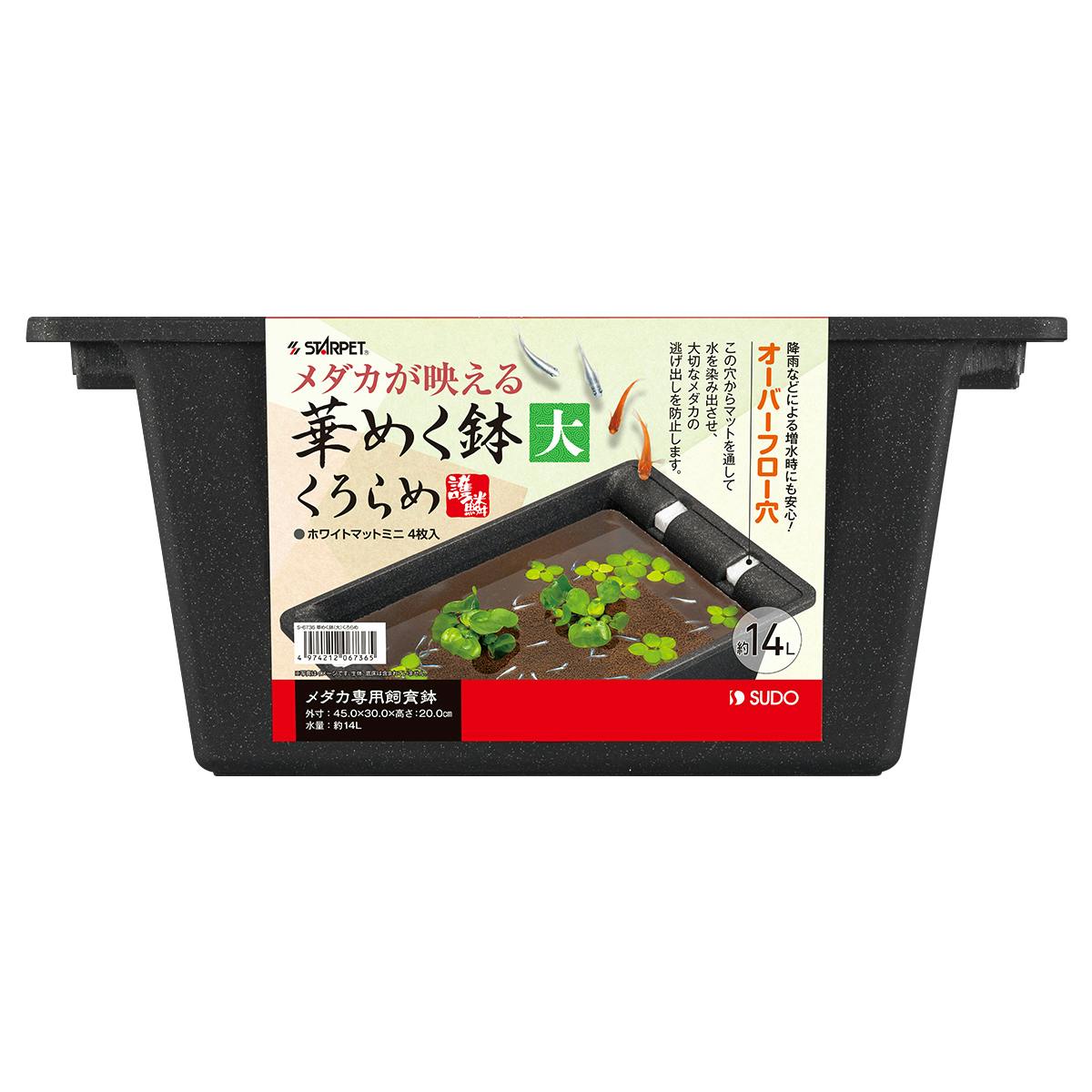 スドー 華めく鉢くろらめ大 4974212067365 1380921001 水槽・アクアリウム スドー 華めく鉢くろらめ大 4974212067365 1380921001 水槽・アクアリウム