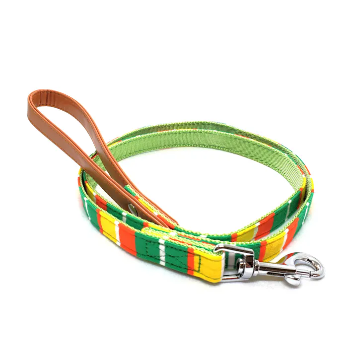 リードッグ パステルボーダーリードL-GR 犬 用品 引き紐(セット含む) 1711643001【別送品】