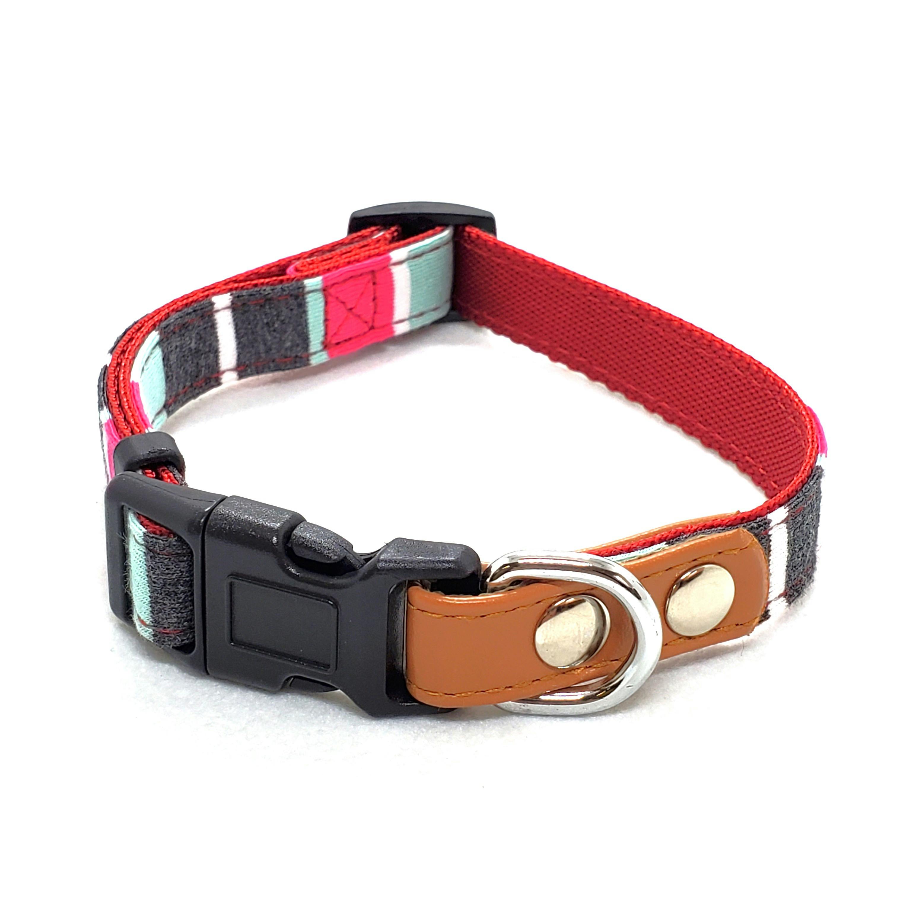 リードッグ パステルボーダーワンタッチカラーLミント 犬 用品 首輪 1711722001【別送品】