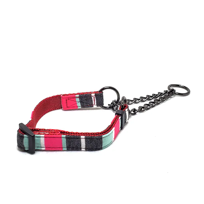 リードッグ パステルボーダーハーフチェーンカラーSミント 犬 用品 首輪 1711828001【別送品】