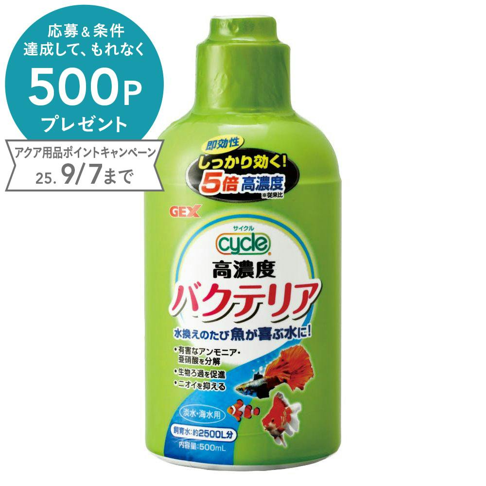 ジェックス サイクル500ml 4972547018908 1741308001 水質調整用品 ジェックス サイクル500ml 4972547018908 1741308001 水質調整用品