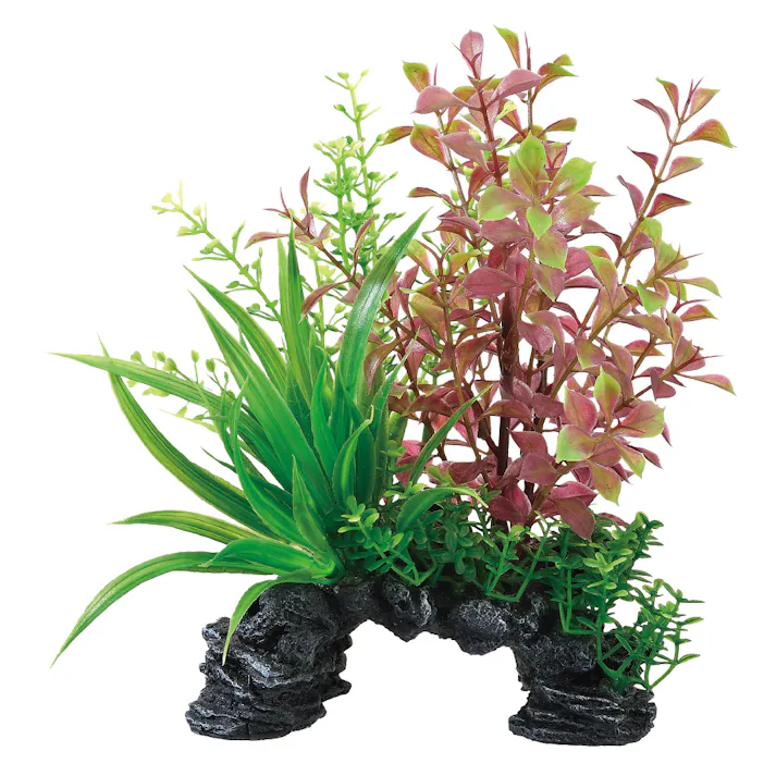 ジェックス 癒し水景MIXミニアーチレッドロタラ 4972547037732 1743249001【別送品】