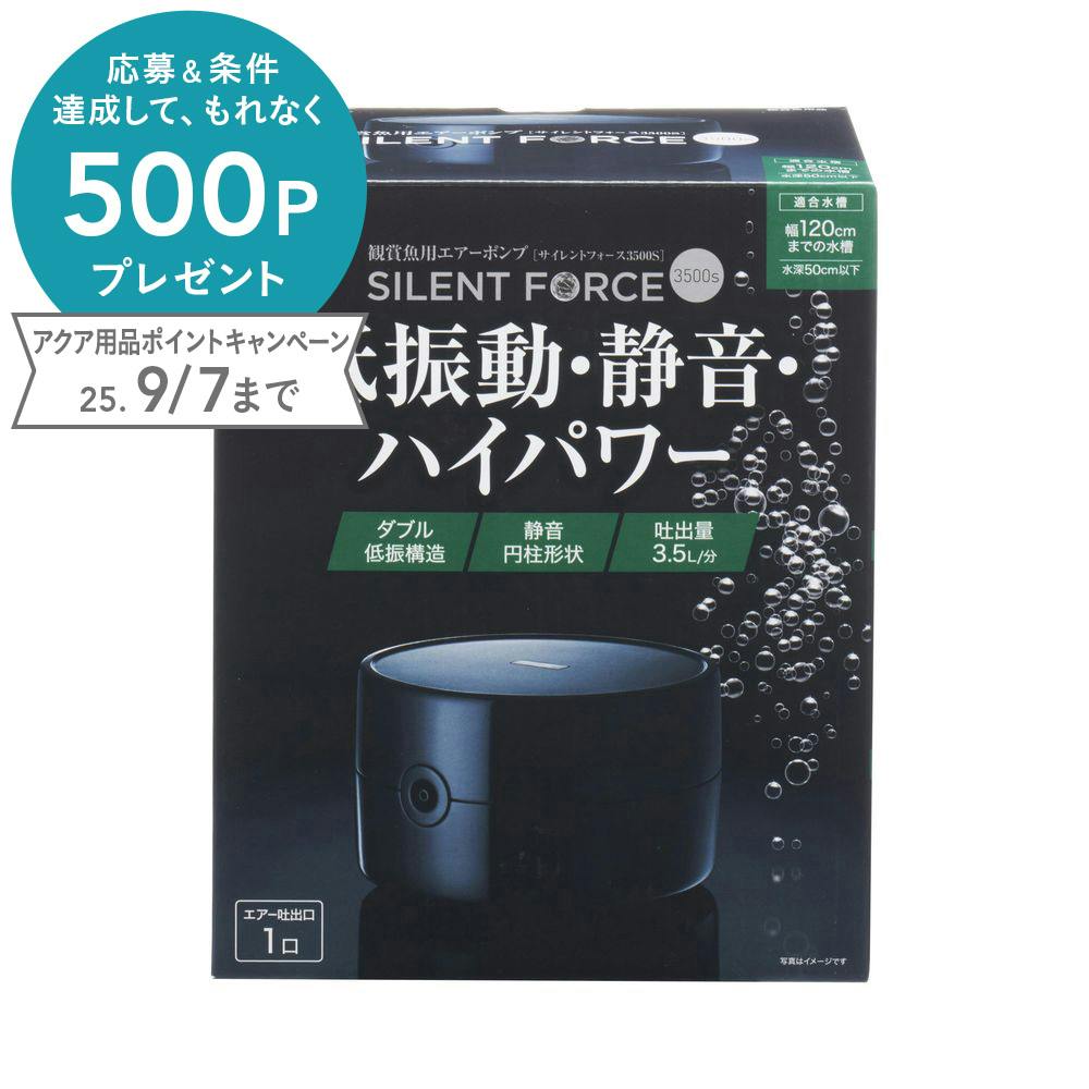 カズ2500さん専用 133847249125406.jpg