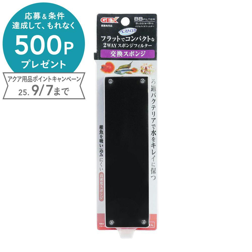 ジェックス BBフィルター交換スポンジ2個 4972547042828 1743941001 ろ過材 ジェックス BBフィルター交換スポンジ2個 4972547042828 1743941001 ろ過材