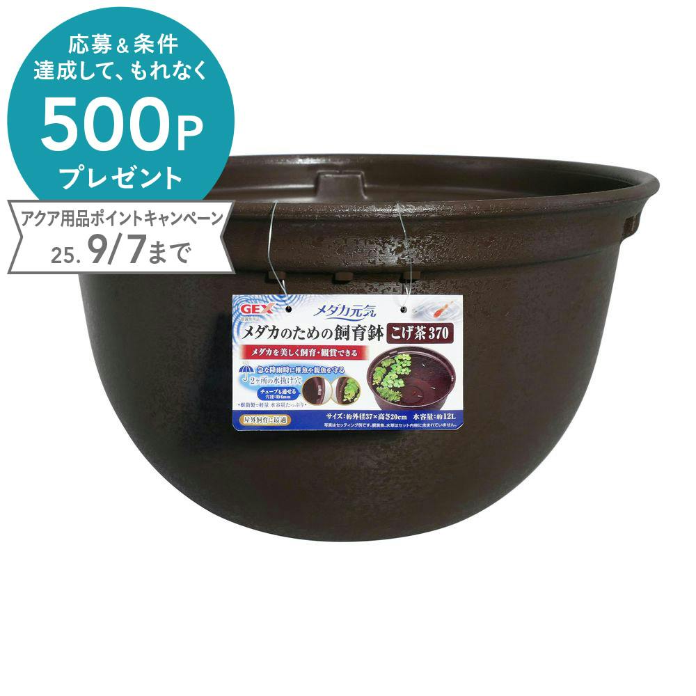 ジェックス メダカ元気メダカのための飼育鉢こげ茶370 4972547042934 1743952001 水槽・アクアリウム ジェックス メダカ元気メダカのための飼育鉢こげ茶370 4972547042934 1743952001 水槽・アクアリウム
