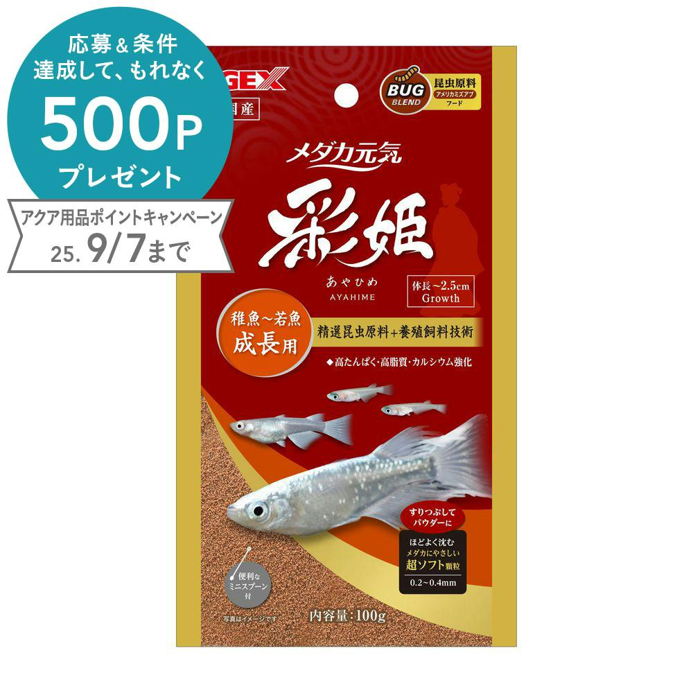 ジェックス メダカ元気彩姫成長用100g 4972547043412 1744178001 メダカのえさ ジェックス メダカ元気彩姫成長用100g 4972547043412 1744178001 メダカのえさ