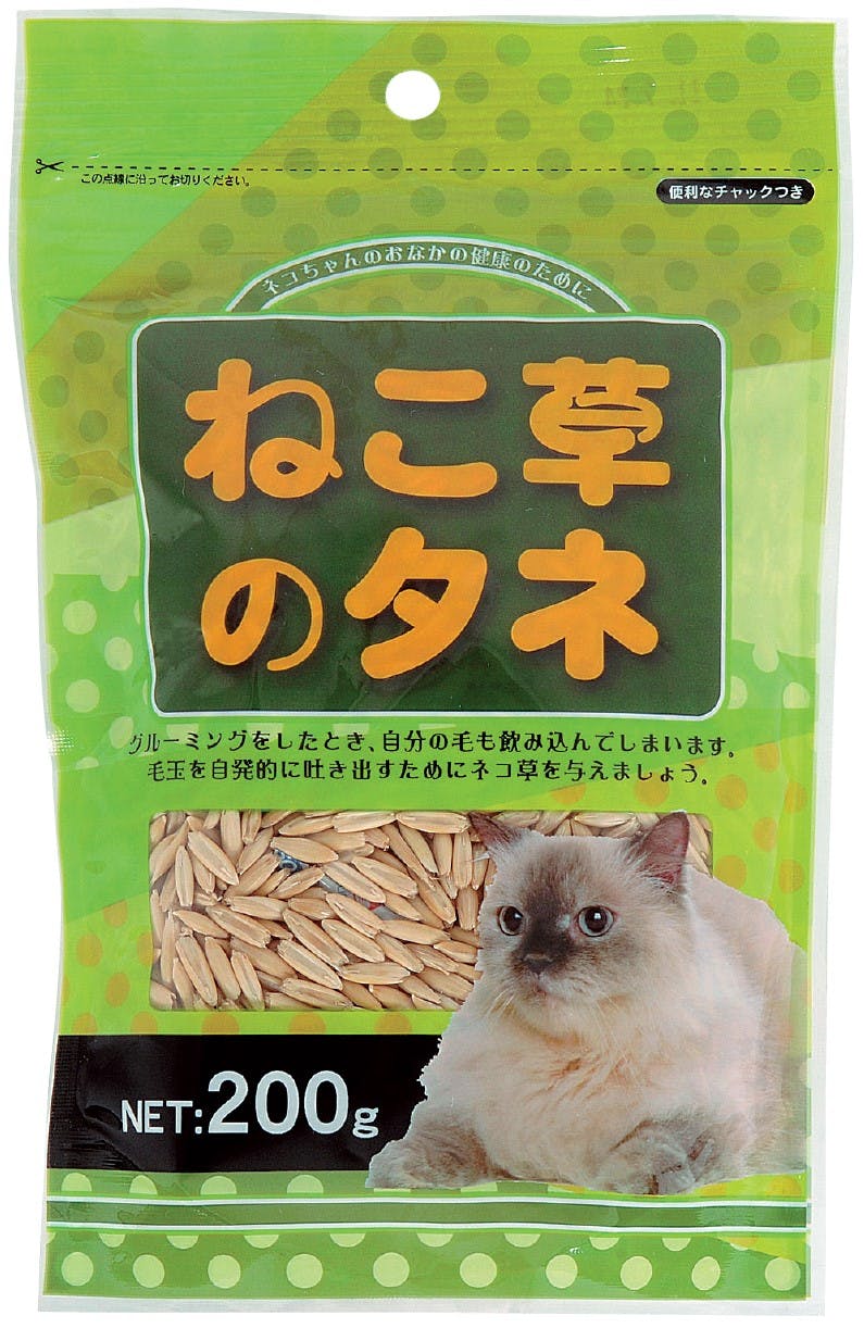 アラタ ねこ草種スタンドパック200g 4532243404544 2830103001 その他猫用玩具 アラタ ねこ草種スタンドパック200g 4532243404544 2830103001 その他猫用玩具