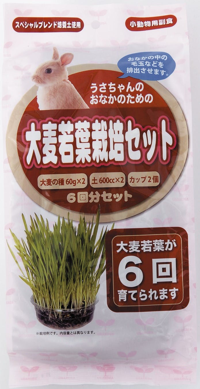 アラタ うさぎ大麦栽培セット6回分 4532243404827 2830172001 小動物用品 アラタ うさぎ大麦栽培セット6回分 4532243404827 2830172001 小動物用品