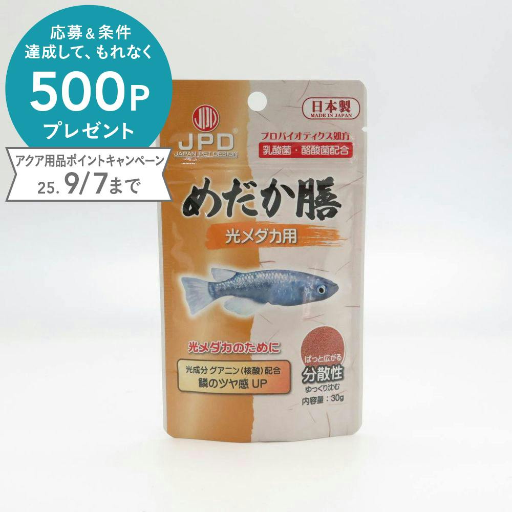 ニチドウ めだか膳光メダカ用30g 4975677044151 2951728001 メダカのえさ ニチドウ めだか膳光メダカ用30g 4975677044151 2951728001 メダカのえさ