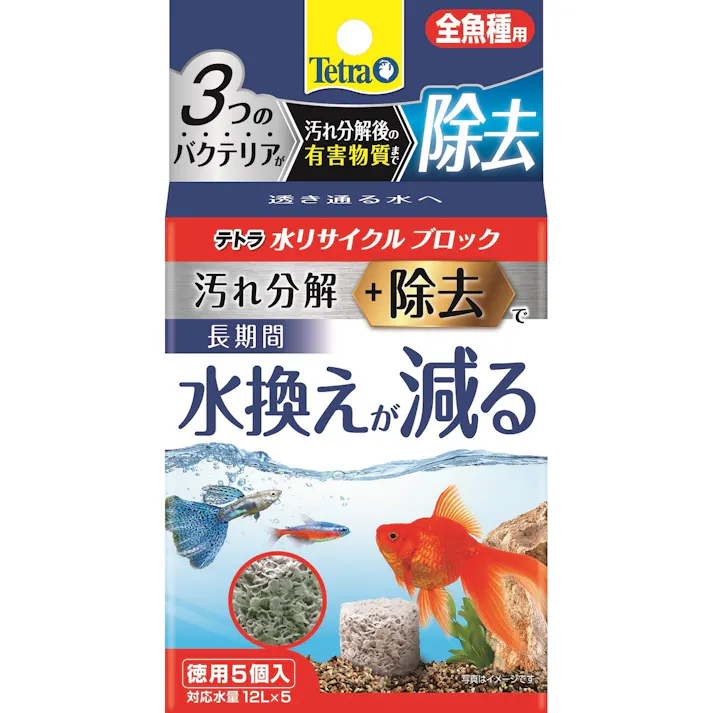 スペクトラム テトラ 水リサイクルブロック全魚種徳用5個 4571269554321 3361253001【別送品】