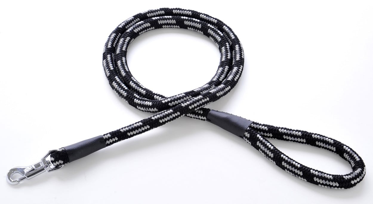 ペティオ BPネオンプラスリードブラック10mm 4903588557996 3412761001 リード(犬用) ペティオ BPネオンプラスリードブラック10mm 4903588557996 3412761001 リード(犬用)