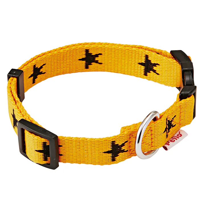 ペティオ PメリカジスターカラーオレンジL 4903588554377 3416535001【別送品】