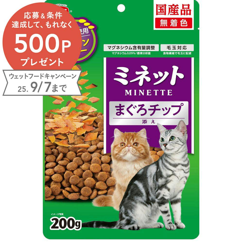 スマック ミネット グレインフリー 鮪チップ200g 4970022024154 1610654001 魚・ささみ・ジャーキー(猫) スマック ミネット グレインフリー 鮪チップ200g 4970022024154 1610654001 魚・ささみ・ジャーキー(猫)