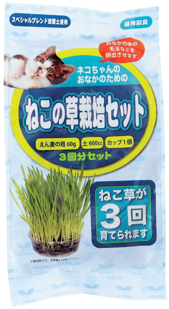 アラタ ねこ草栽培セット3回分 4532243404797 2830169001 デンタル・ふりかけ・その他おやつ(猫) アラタ ねこ草栽培セット3回分 4532243404797 2830169001 デンタル・ふりかけ・その他おやつ(猫)