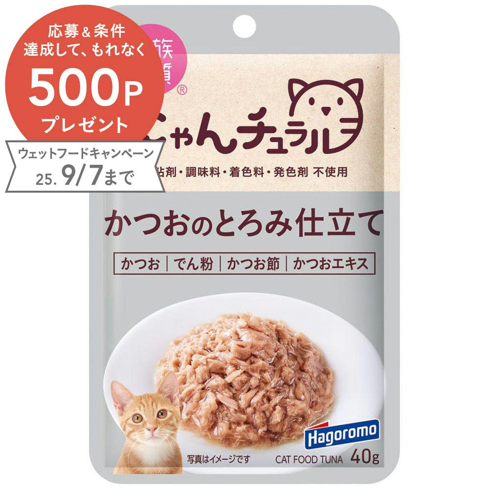 はごろもフーズ にゃんチュラルP鰹のとろみ仕立て40g 4902560607971 2900464001 猫用ウェットフード(パウチ) はごろもフーズ にゃんチュラルP鰹のとろみ仕立て40g 4902560607971 2900464001 猫用ウェットフード(パウチ)