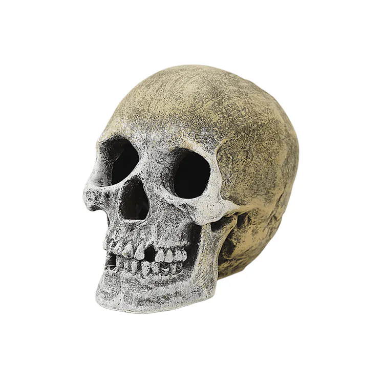 aquaneru オーナメント頭蓋骨 アクアリウム 水槽レイアウト オブジェ 1622599001【別送品】