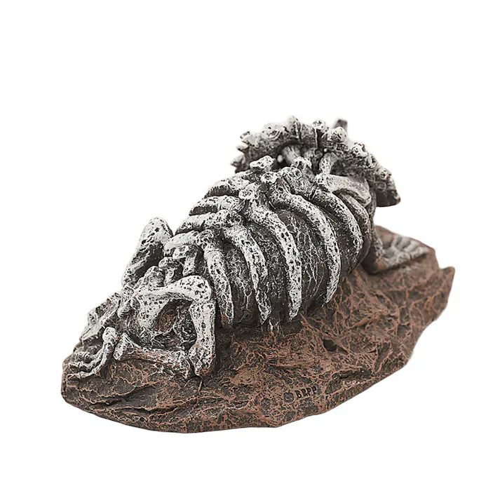 aquaneru オーナメントトリケラトプスの化石 アクアリウム 水槽レイアウト オブジェ 1622752001【別送品】