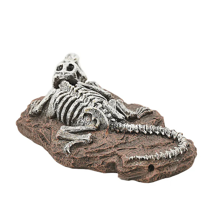 aquaneru オーナメントトカゲの化石 アクアリウム 水槽レイアウト オブジェ 1622753001【別送品】