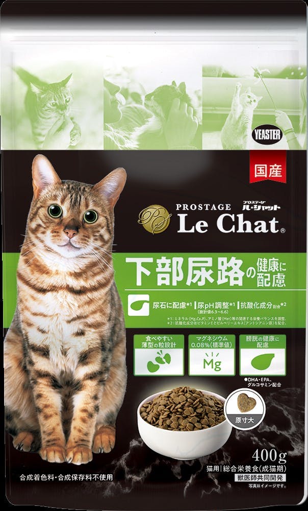 【即時発送】ファルミナ　ワイルドボア(アップル入り) 成猫用　10kg ファルミナペットフーズ・ジャパン株式会社 - - - N&D プライム