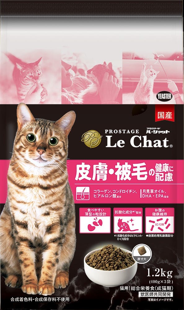 vXe[W Vbg畆1.2kg Lbgt[h NێT|[g h{H 2630952001 LphCt[h