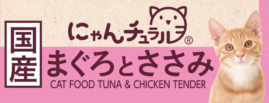 ɂ` ܂Ƃ70g Lbgt[h EFbgt[h Y 2900483001 LpEFbgt[hipE`j