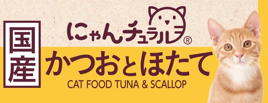 ɂ` Ƃق70g Lbgt[h EFbgt[h Y 2900485001 LpEFbgt[hipE`j