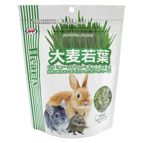 n[eB[ 唞t20g t[h h{oX Nێ 4101171001 Ђ}bgEv[g