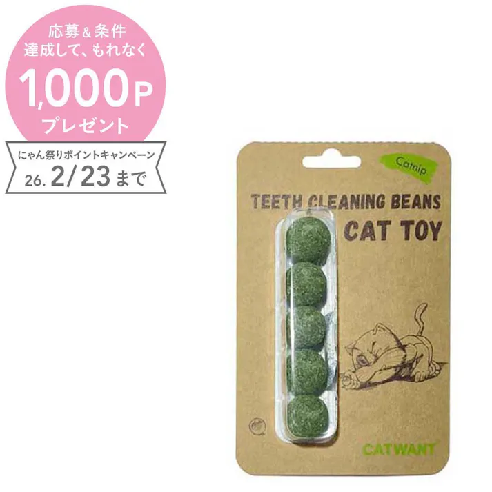 ペットライブラリー キャットニップ歯みがきボール 猫用おもちゃ デンタルケア 4380603001【別送品】