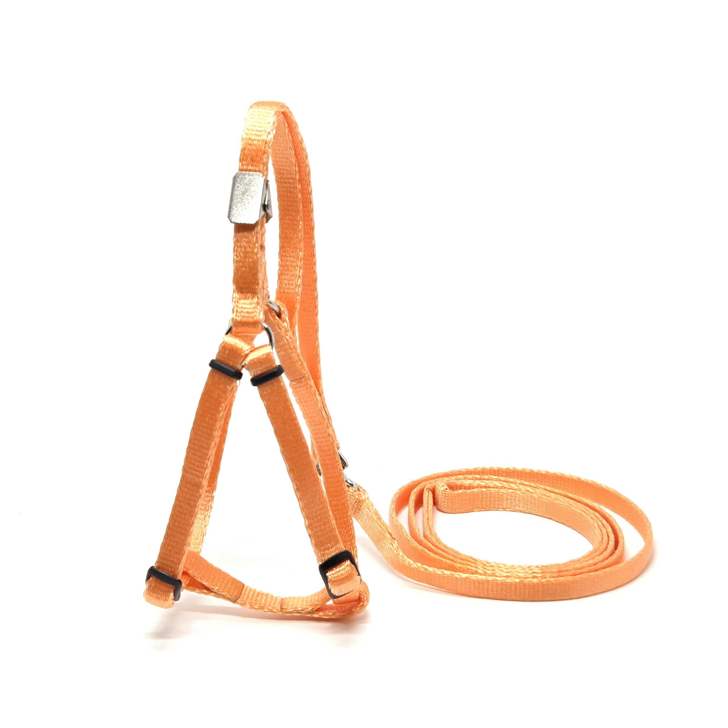 パステルパピーハーネスリードオレンジP 犬 用品 引き紐 オレンジ