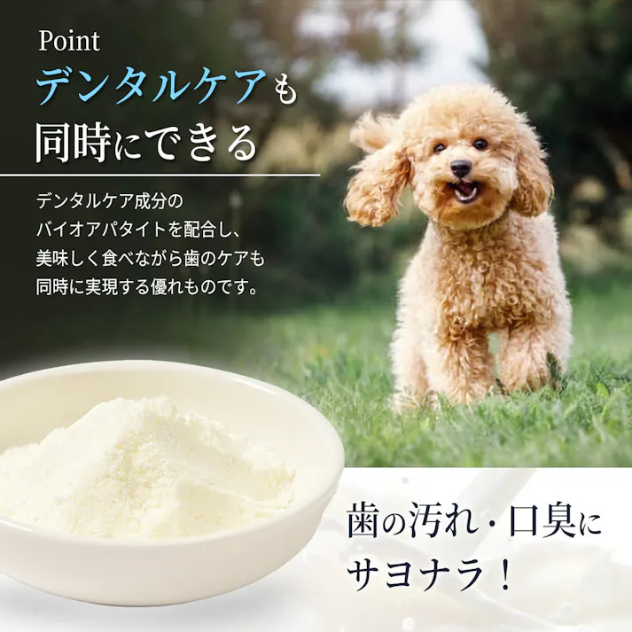 ミガケンデ 歯に優しいヤギミルクパウダー 栄養補給 オーラルケア デンタルケア 9210004001【別送品】