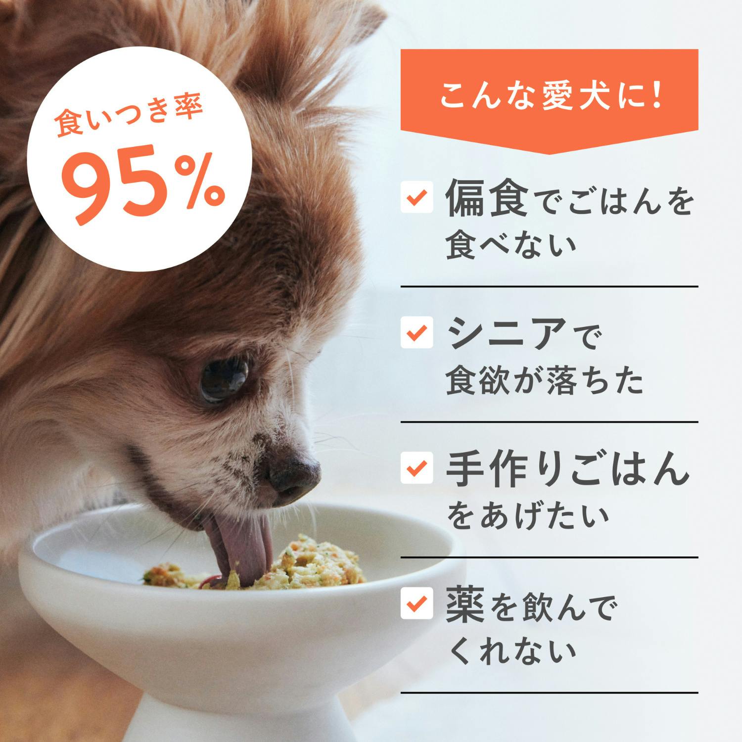 ペトコトフーズ ウェットドッグチキン(犬用総合栄養食) 100g 国産