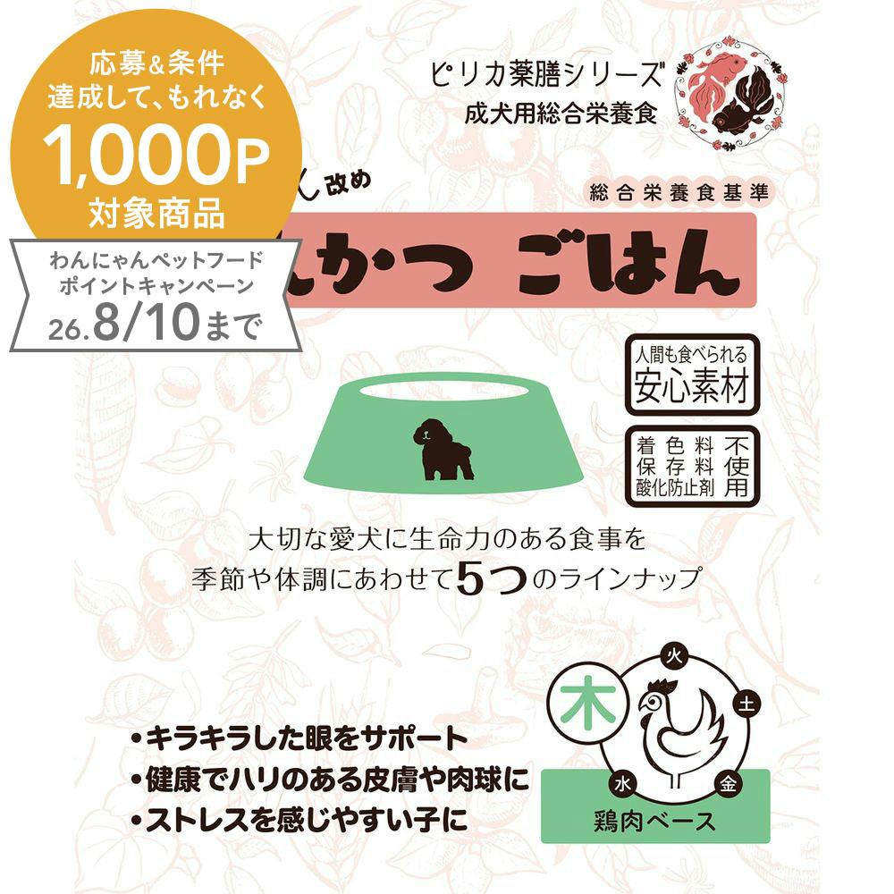 げんかつごはん レトルトタイプ 木 80g 食いつきサポート 犬 ウェット