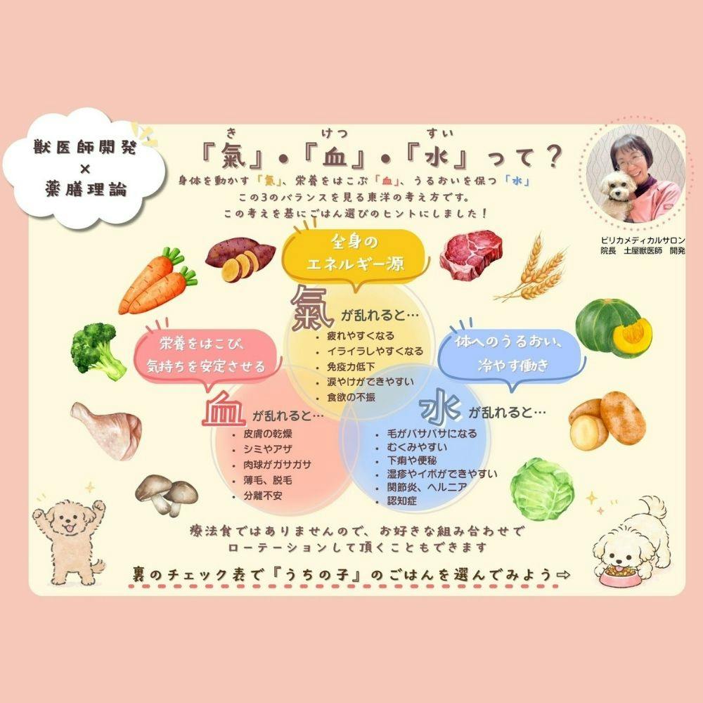 ホリスティックフードケア レトルト 気 120g 食いつきサポート 犬