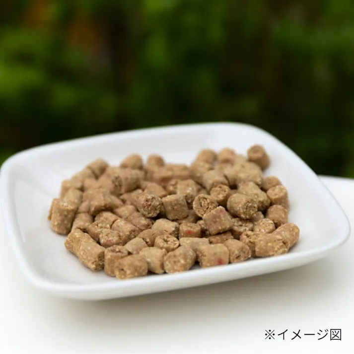 漢方ごはん改めげんかつごはん ドライタイプ 木 お試しパック 80g 食いつきサポート リラックスサポート 薬膳 9530043001【別送品】