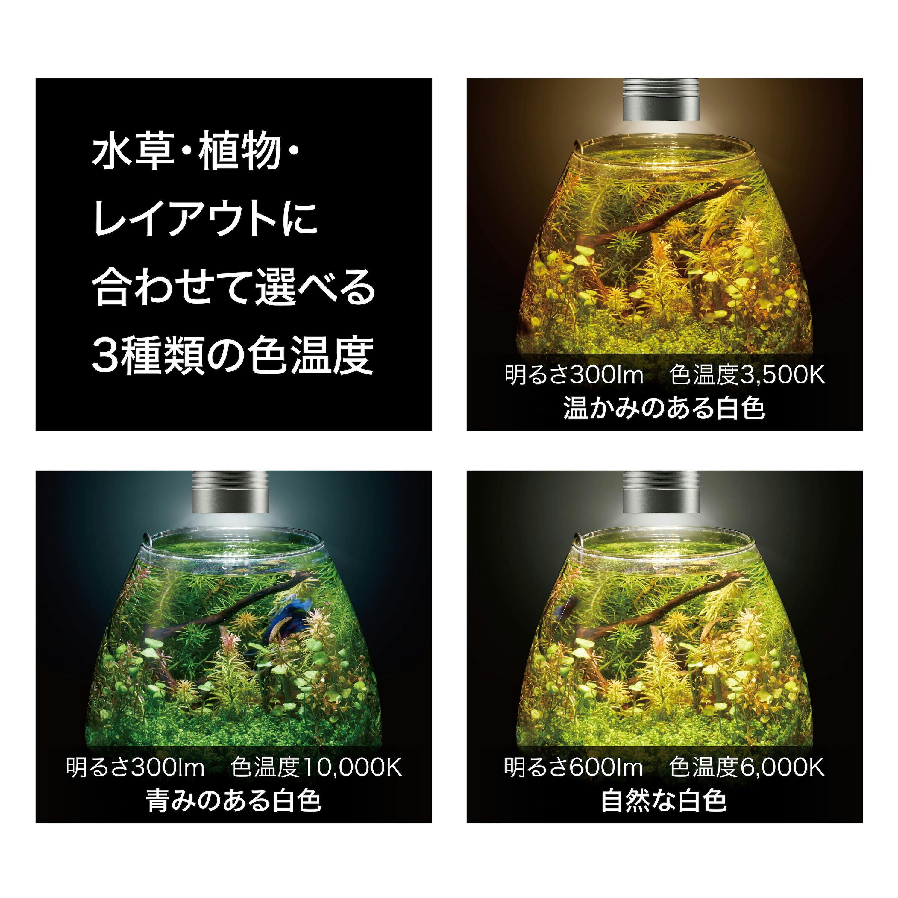クリアLED リーフグローEX-N 水槽 LED ライト 1744637001【別送品