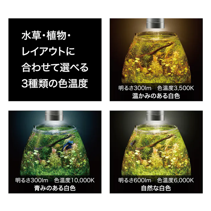クリアLED リーフグローEX-N 水槽 LED ライト 1744637001【別送品】