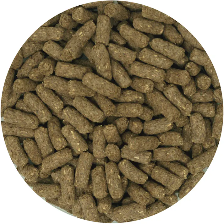 動物村 ラビットフード アルファルファ 2.2kg ウサギ フード イースター 2630968001【別送品】