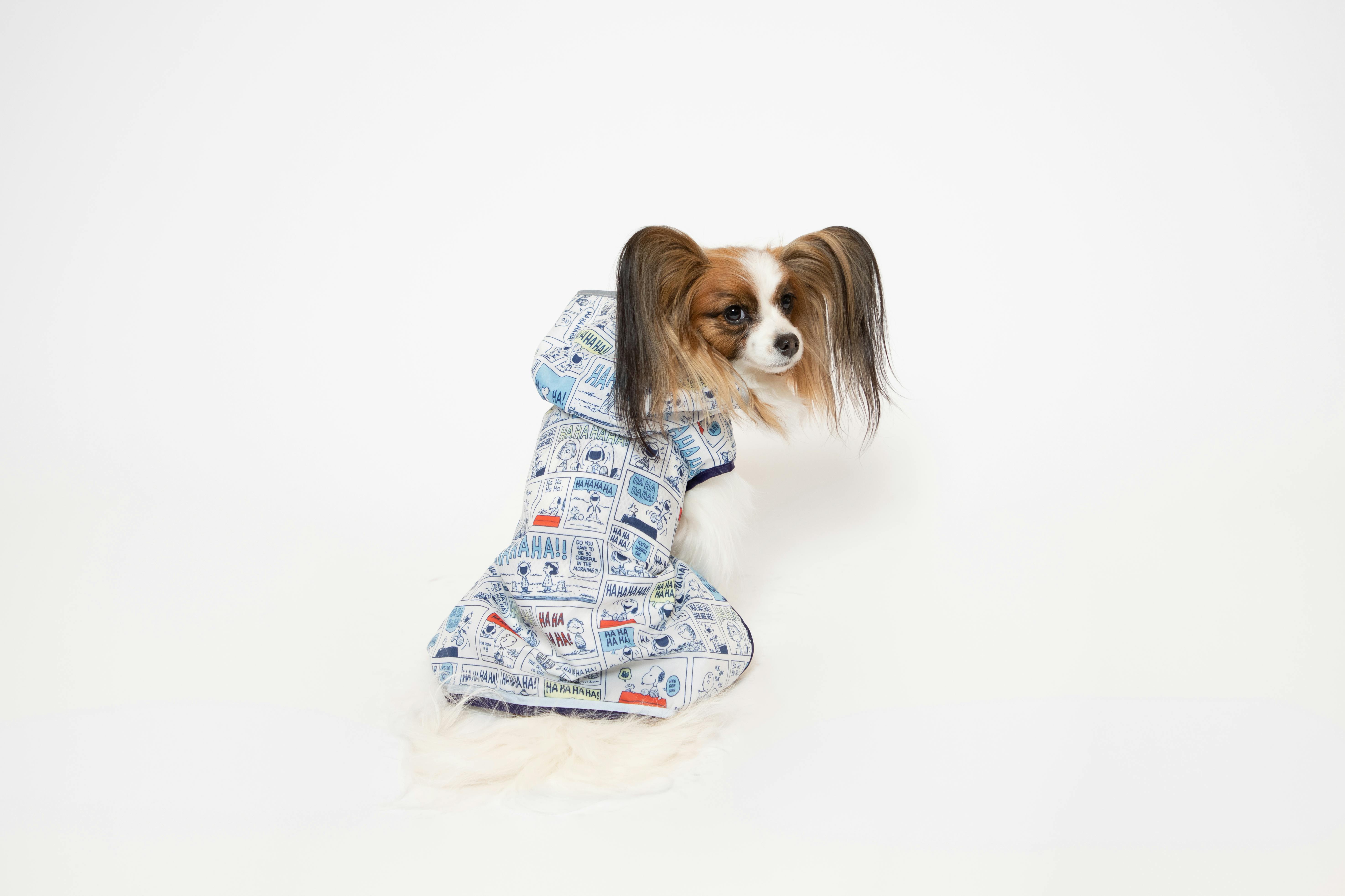 台湾スヌーピー 6個セット 2025年最新】台湾限定 スヌーピーの人気アイテム - メルカリ