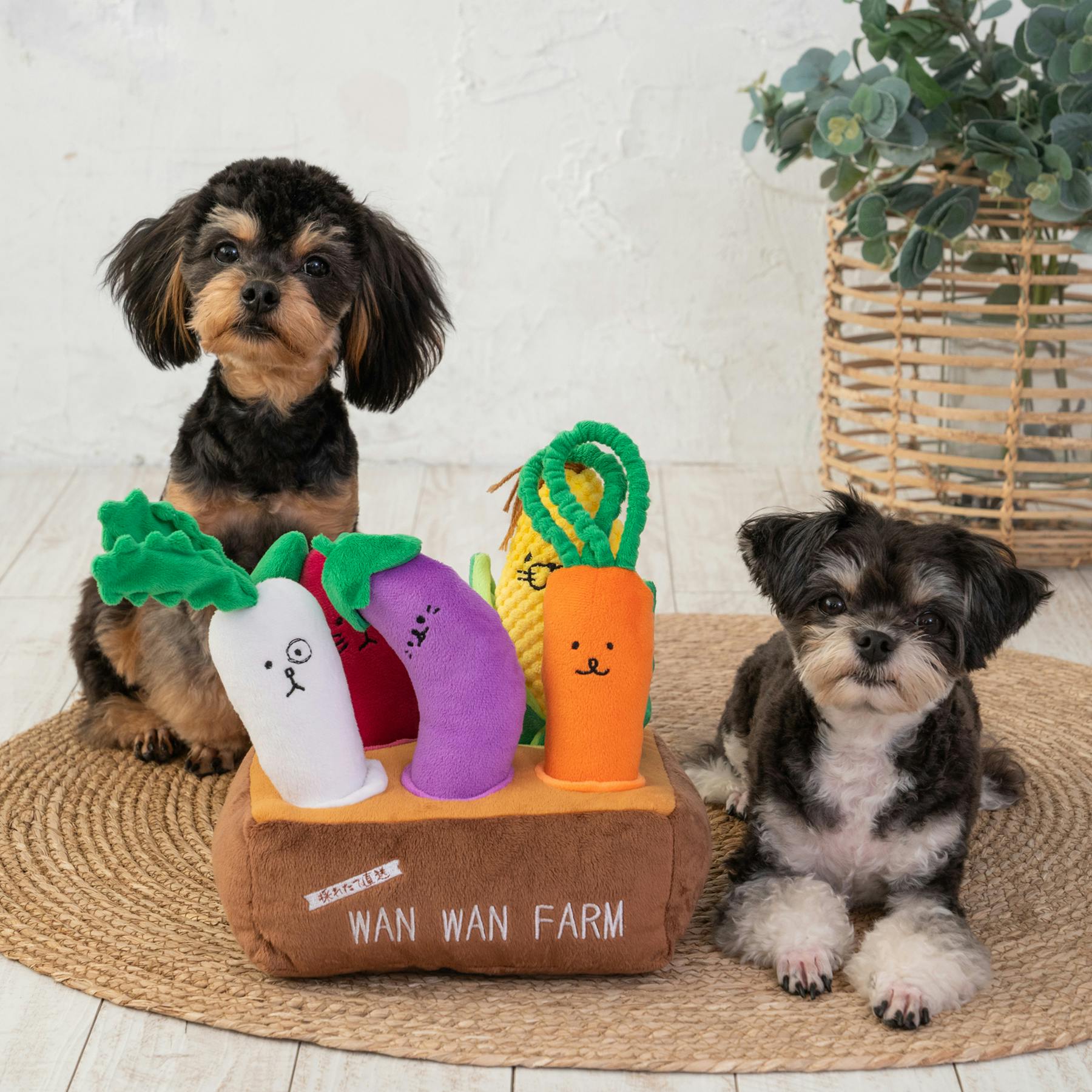 SOLGRA ハッピーお野菜フレンズなすにぃ Purple F 用品 おもちゃ