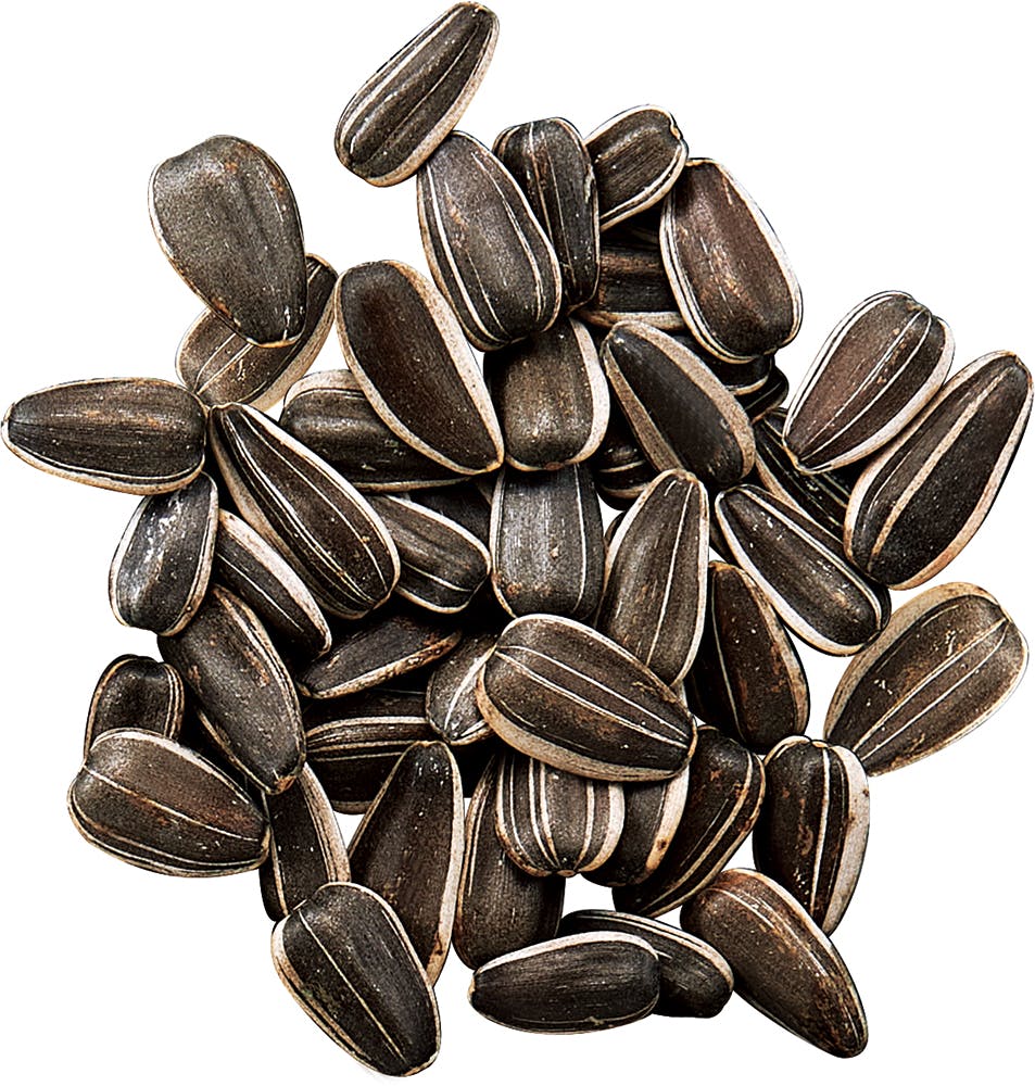 MR-571 新鮮大粒ひまわりの種400G 鳥小動物フード 間食 4906456531746