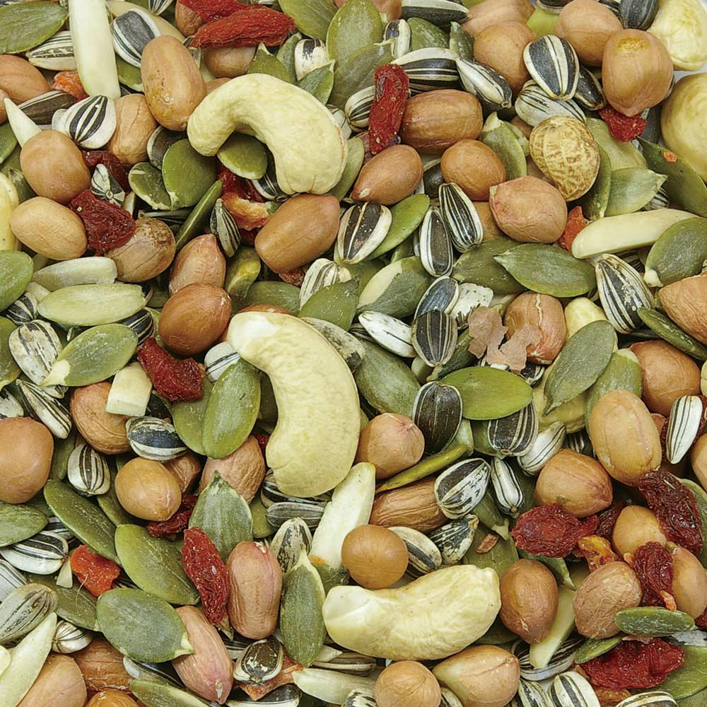 MR-581 ナッツ＆シードミックス60G 鳥小動物フード 間食 4906456531845