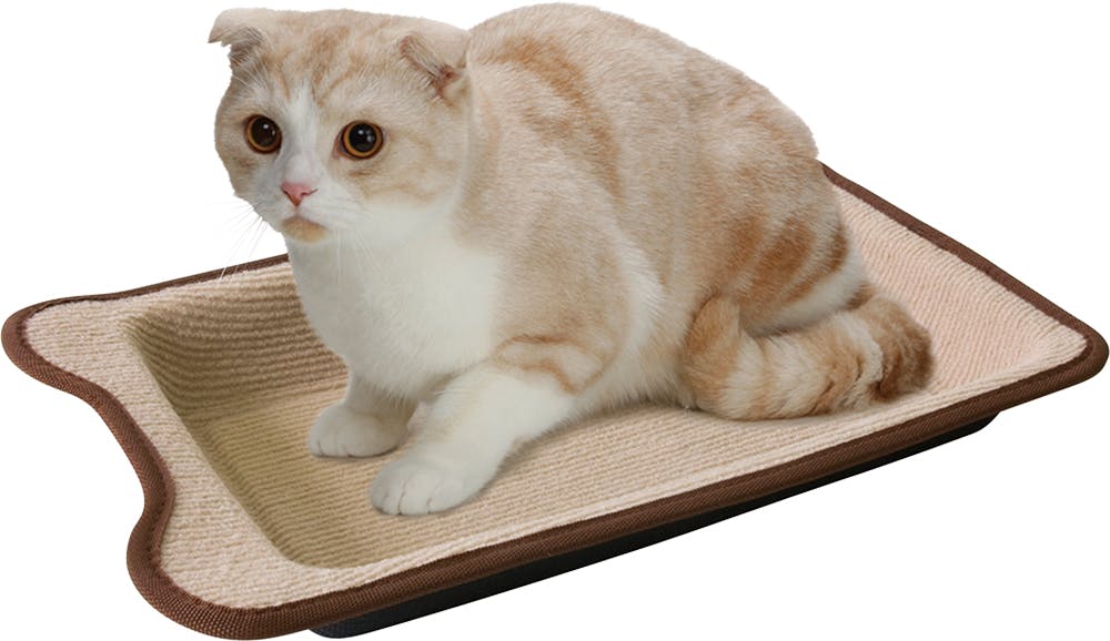 ツメとぎトレイ CT-193 深型トレイ すべり止め付 4906456534174