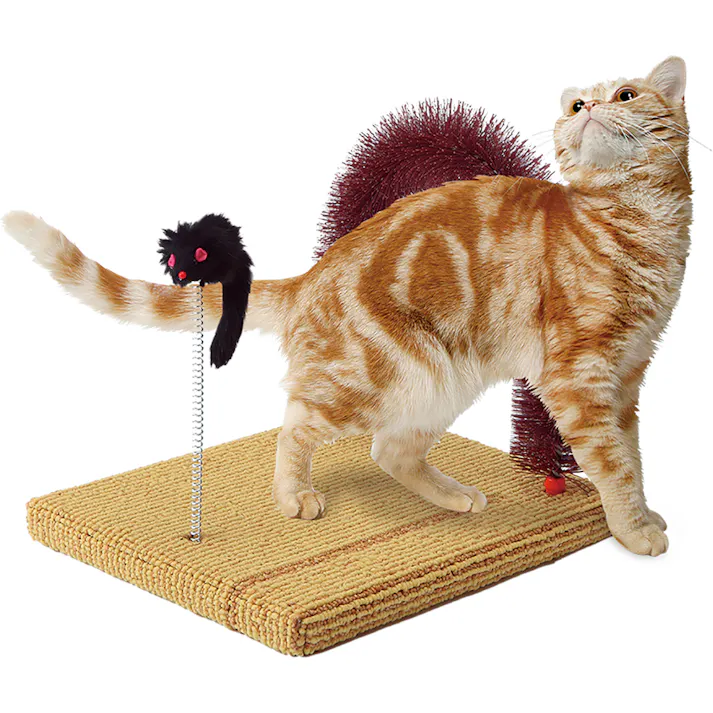 CT-277どこでもツメとぎおめかしブラシ 麻縄 カーペット おもちゃ付き 4906456548133【別送品】