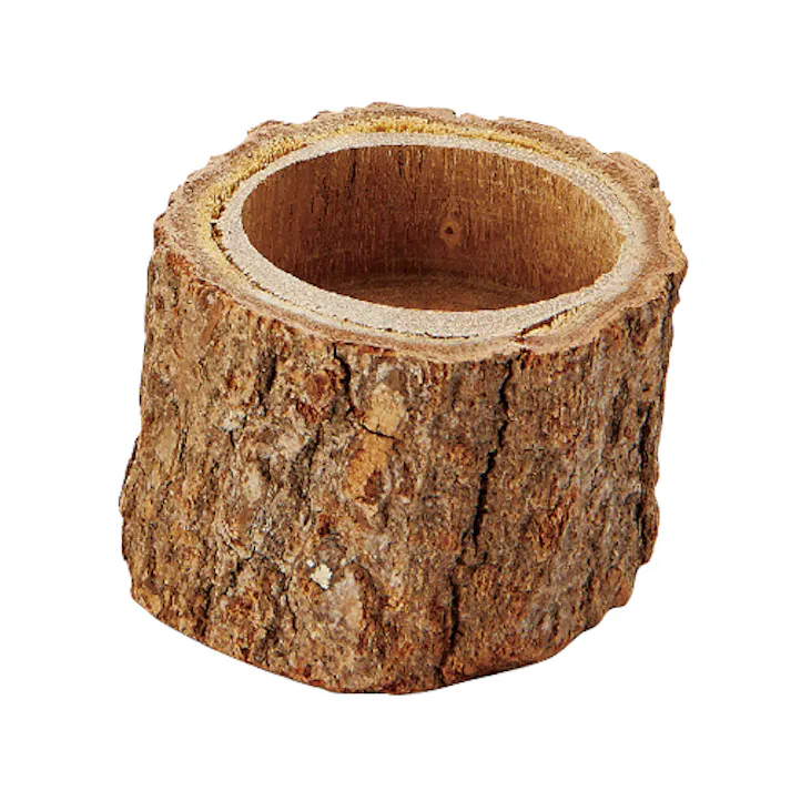 T-132平型ゼリー用エサ皿丸2個入 鳥小動物 器具 鳥用品 4906456561576【別送品】