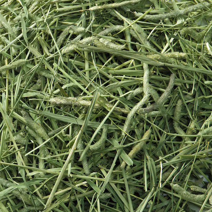 MRP-718 バニーグレードチモシーPRO550g 鳥小動物フード 牧草 4906456567226【別送品】