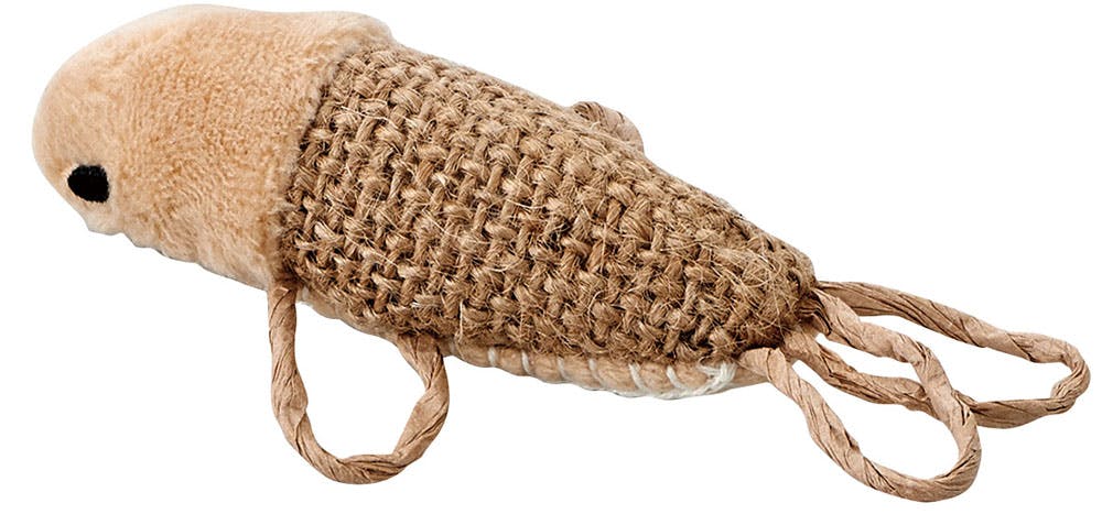 CT-499 かむかむTOYSさかなちゃん デンタルケア 4906456568445【別送品