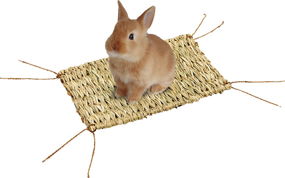 甘辛うさぎ　専用 Amazon.co.jp: HAC おさんぽ うさぎちゃん うさぎ 約W9×D14.5