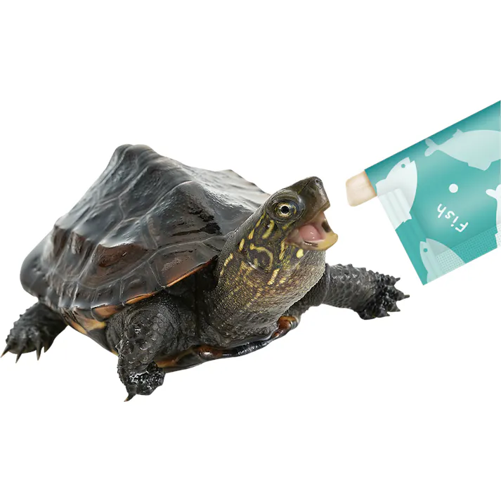 ML-341 かめかめぴゅーれさかな 鳥小動物フード カメおやつ 4906456575085【別送品】