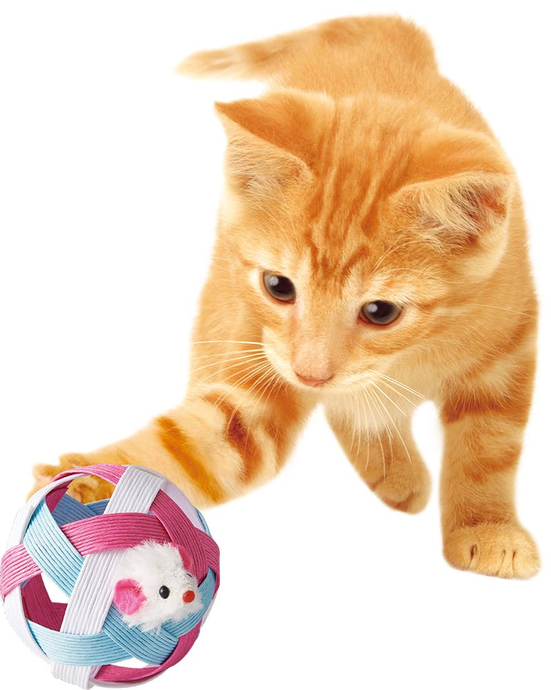 CT-620にゃんこたいむころころボールマウスと鈴 猫用おもちゃ