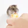 ML-504 快腸ぐらし ハムスターのぴゅーれ 鶏ささみ&チーズ 3gx10本 鳥小動物フード 小動物おやつ 4906456578390【別送品】